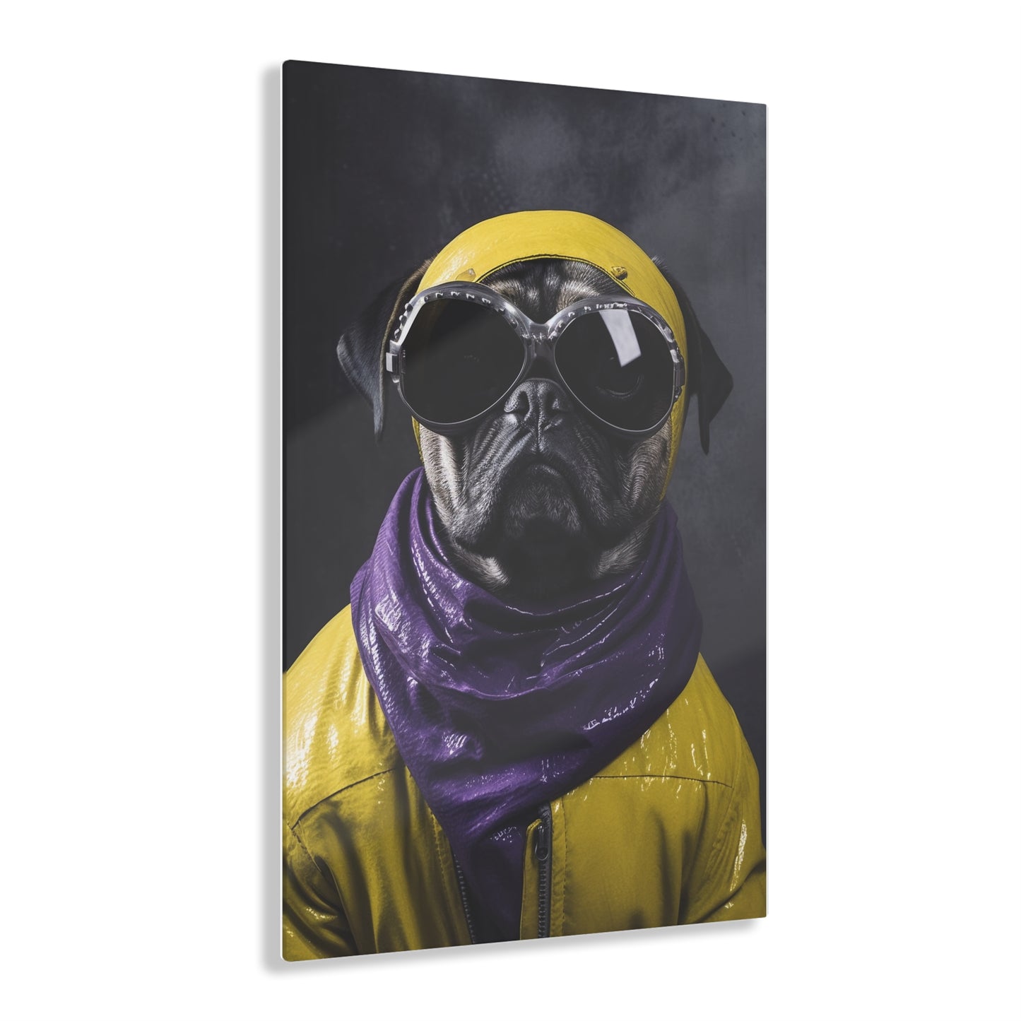 Pug 7, Acrylic Prints