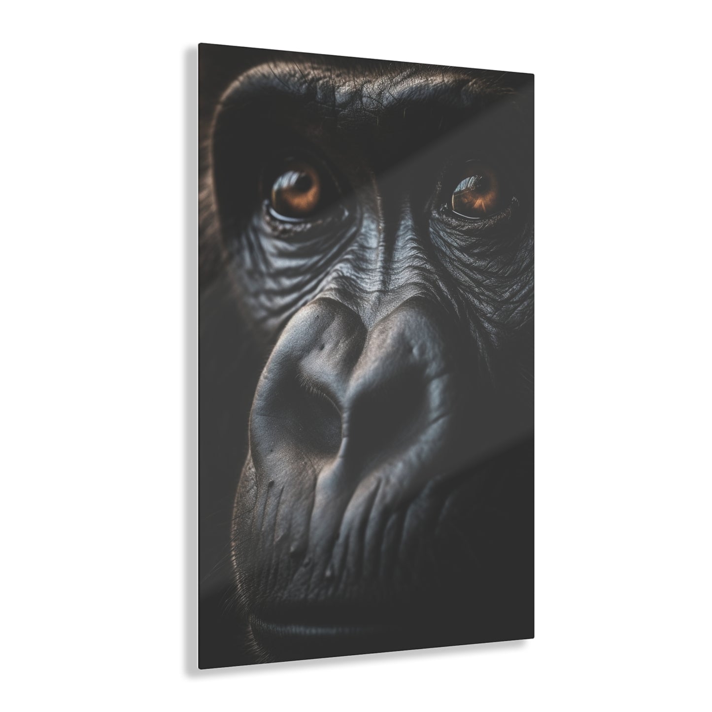 Monkey 3, Acrylic Prints
