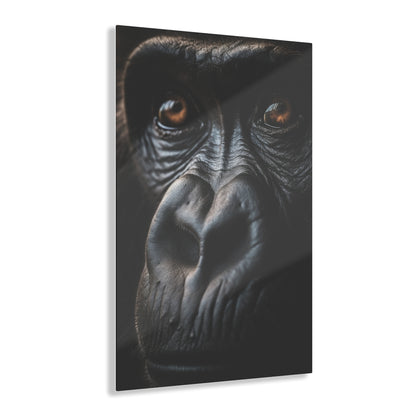 Monkey 3, Acrylic Prints
