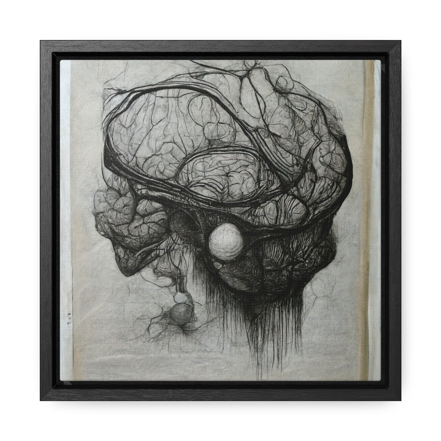 Brain 60, Valentinii, Gallery Canvas Wraps, Square Frame