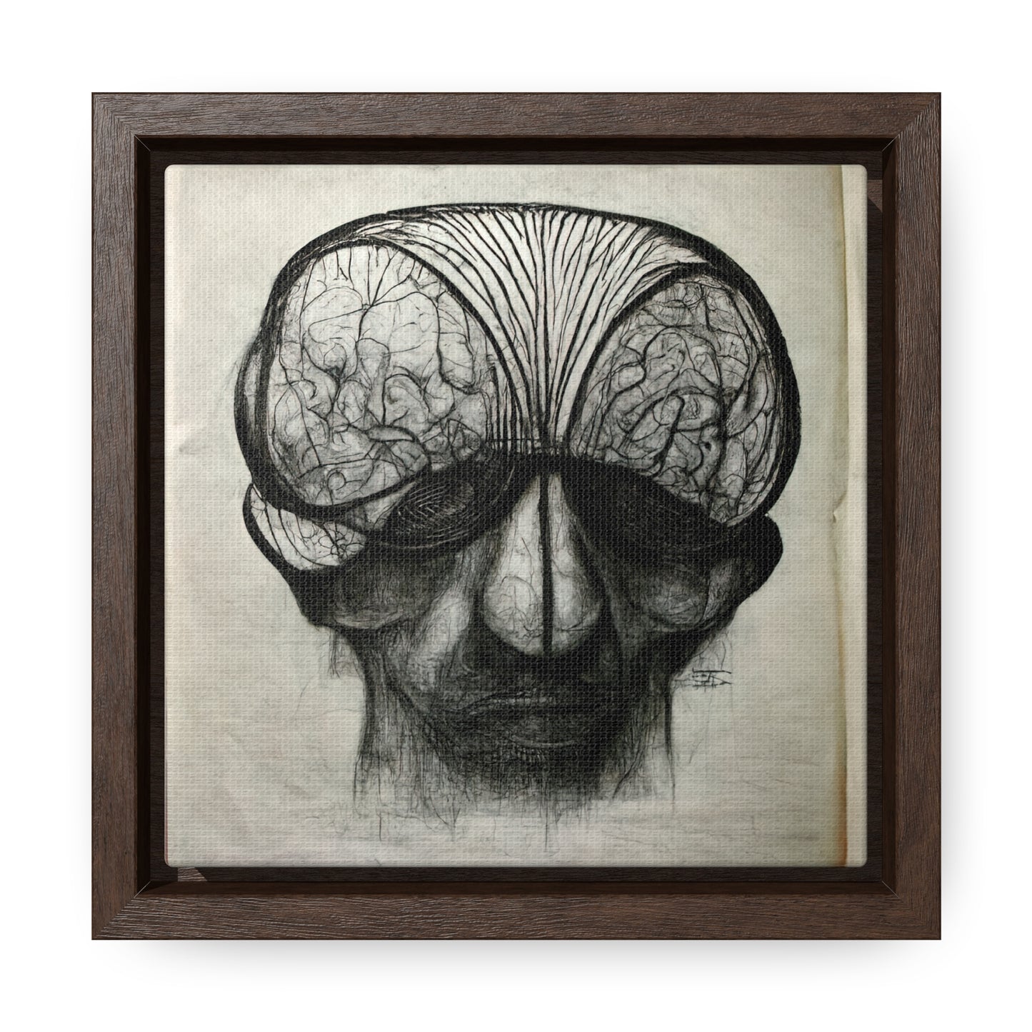 Brain 54, Valentinii, Gallery Canvas Wraps, Square Frame