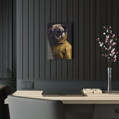 Pug 3, Acrylic Prints