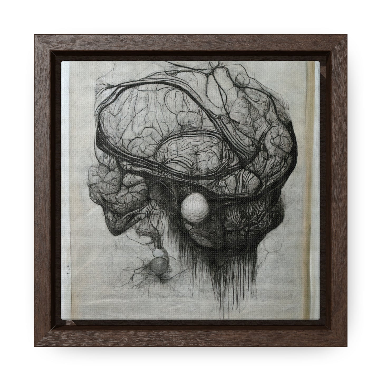 Brain 60, Valentinii, Gallery Canvas Wraps, Square Frame