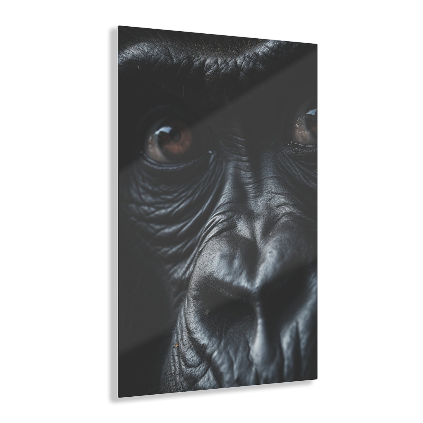 Monkey 4 , Acrylic Prints