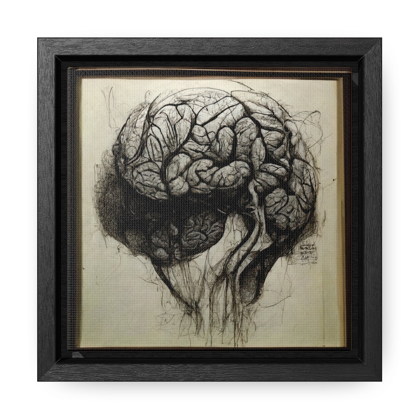 Brain 56, Valentinii, Gallery Canvas Wraps, Square Frame