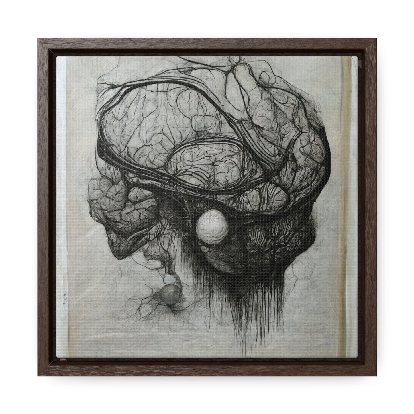 Brain 60, Valentinii, Gallery Canvas Wraps, Square Frame