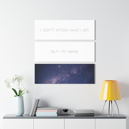 I don't know who I am (2), Prints (Triptych)