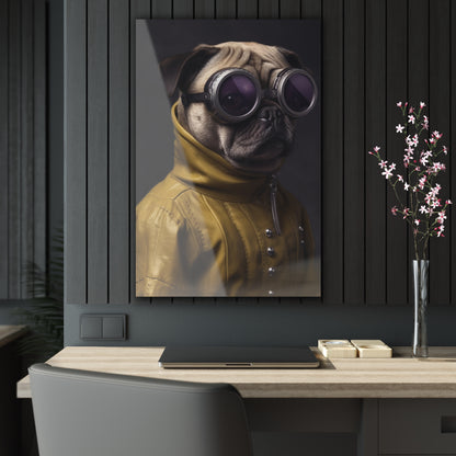 Pug, Acrylic Prints